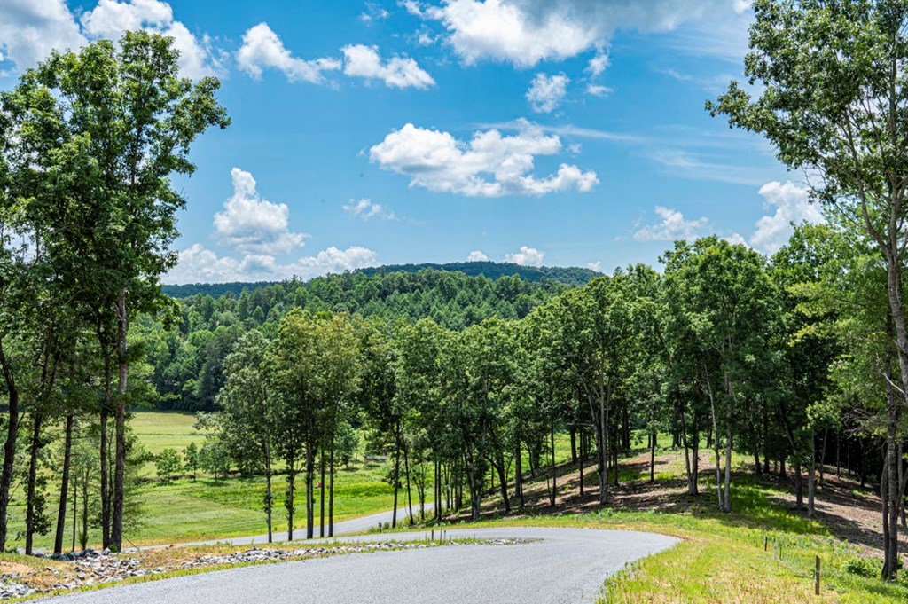 151 The Ridges Morganton, GA 30560 - Photo 8 of 35 Views of the Community