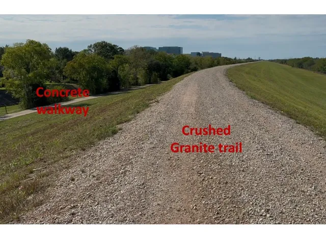 a black and white photo of a yard