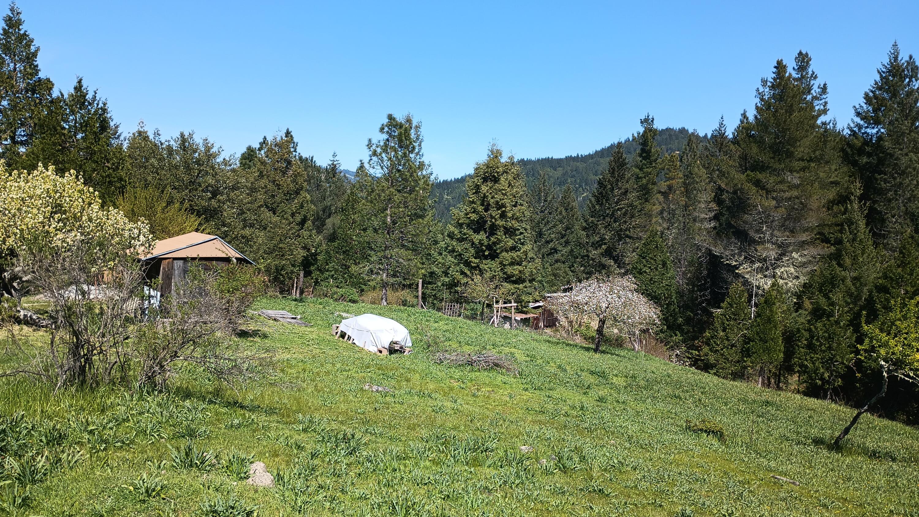 3951 Upper Thomas Early Ranch Road Miranda, CA 95553 - Photo 32 of 57