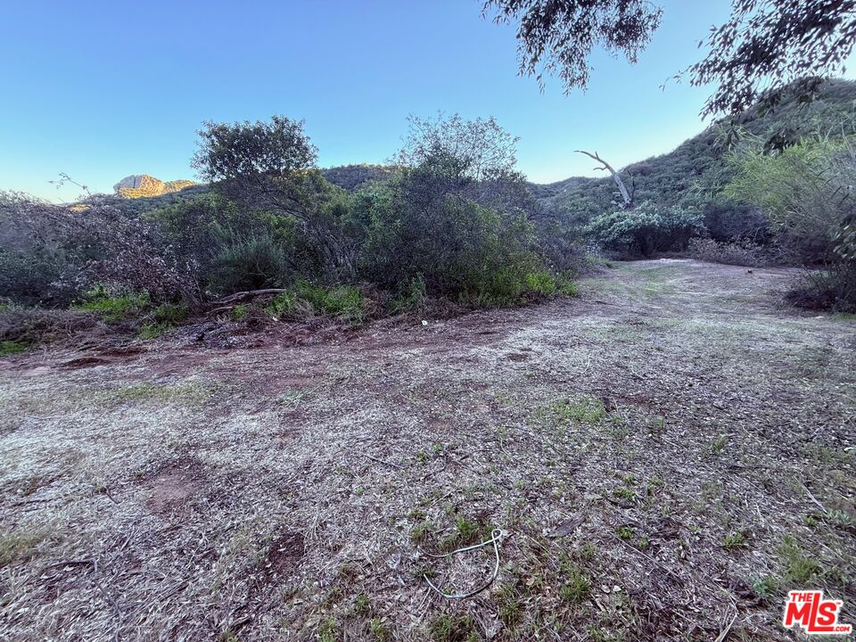 23629 Zuniga Road Topanga, CA 90290 - Photo 17 of 21