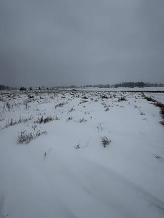 $159,000 | Tbd Tbd 395th, Dent, MN 56528