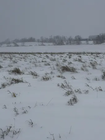 $159,000 | Tbd Tbd 395th, Dent, MN 56528