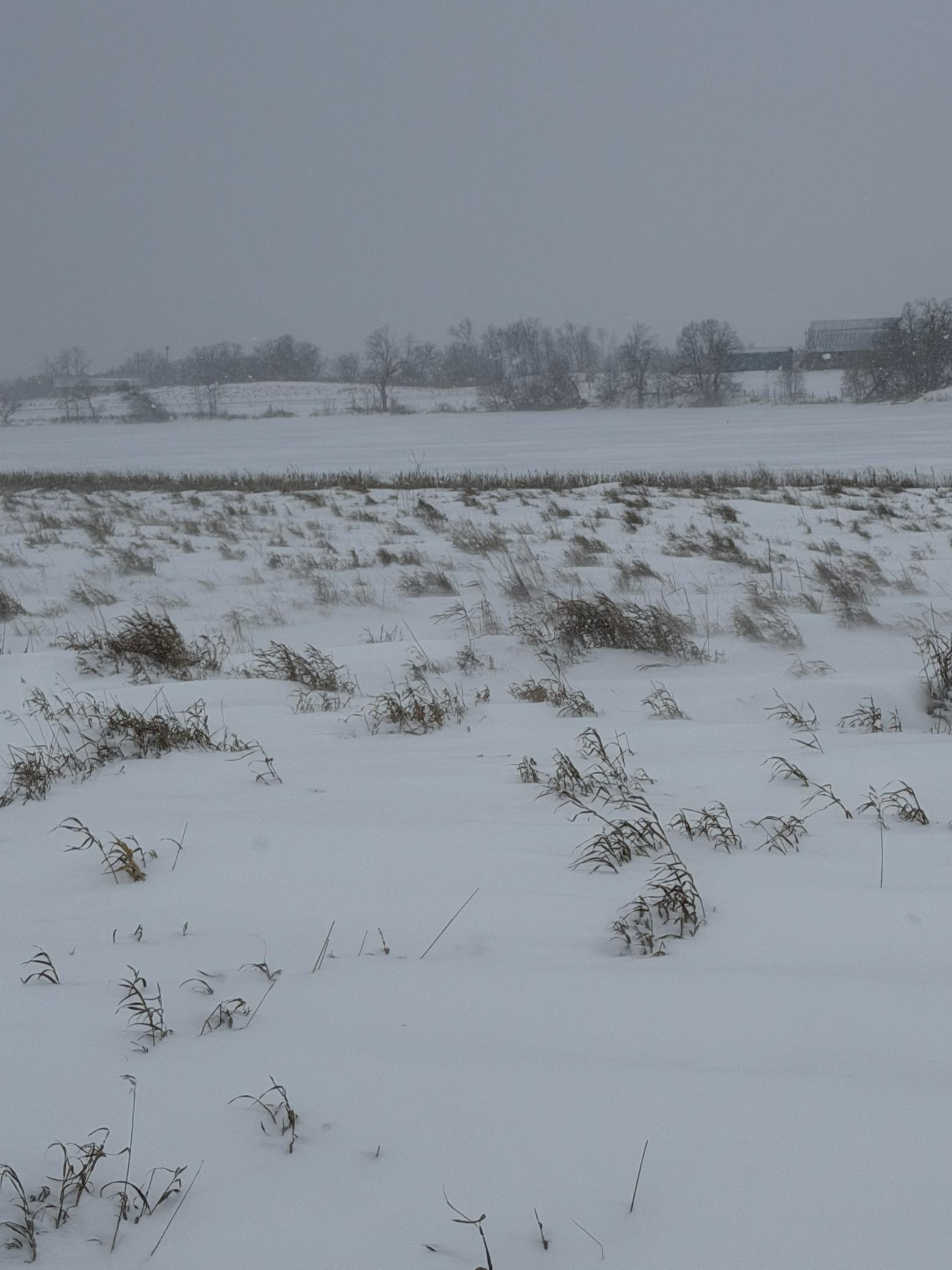 Tbd Tbd 395th Dent, MN 56528 - Photo 2 of 7