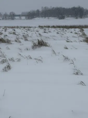 $159,000 | Tbd Tbd 395th, Dent, MN 56528