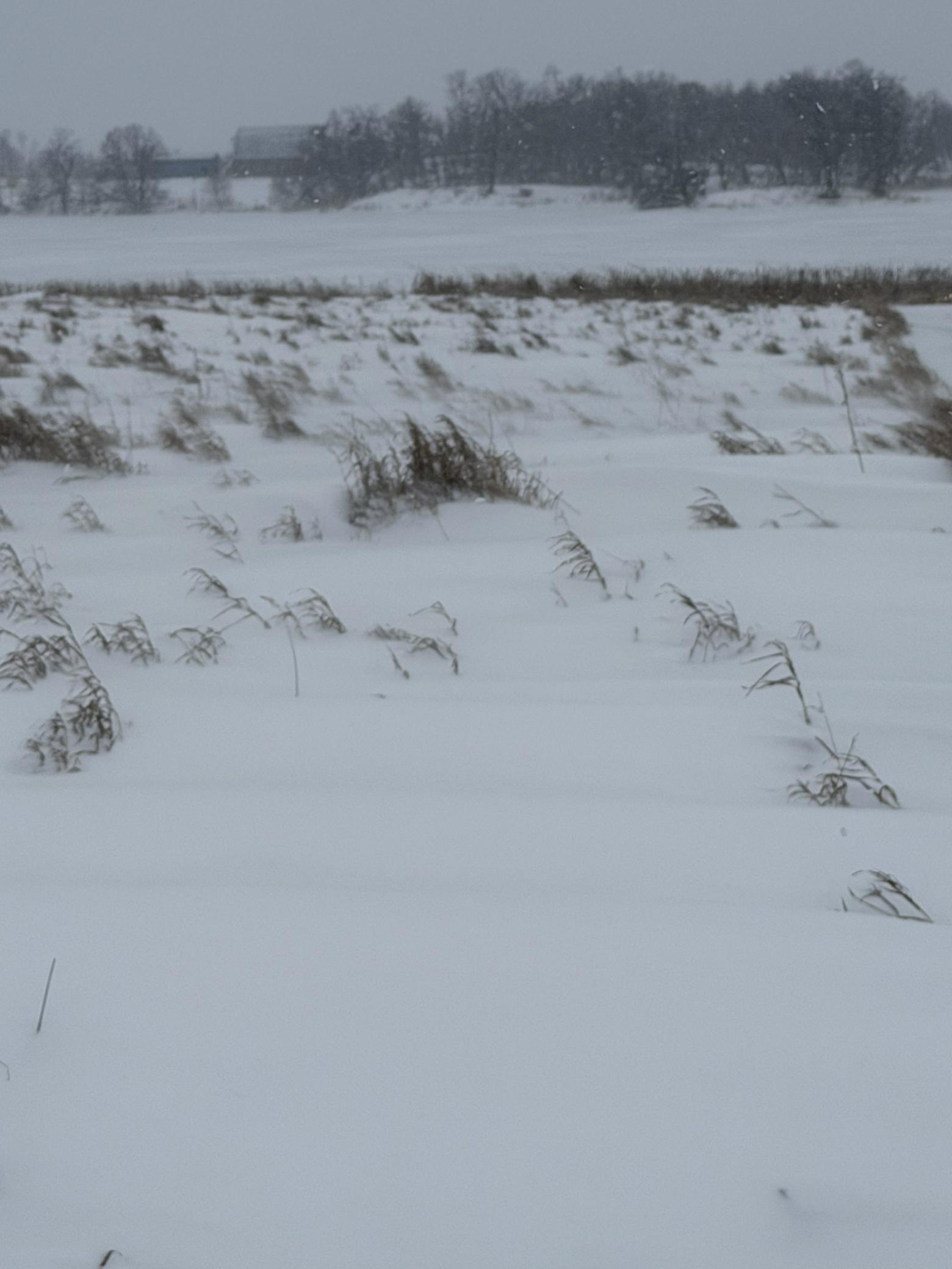 Tbd Tbd 395th Dent, MN 56528 - Photo 3 of 7