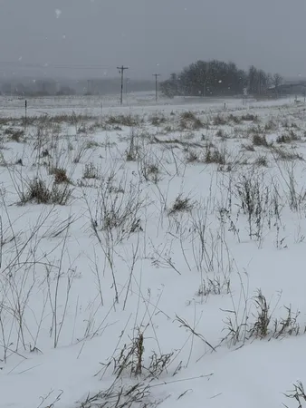 $159,000 | Tbd Tbd 395th, Dent, MN 56528