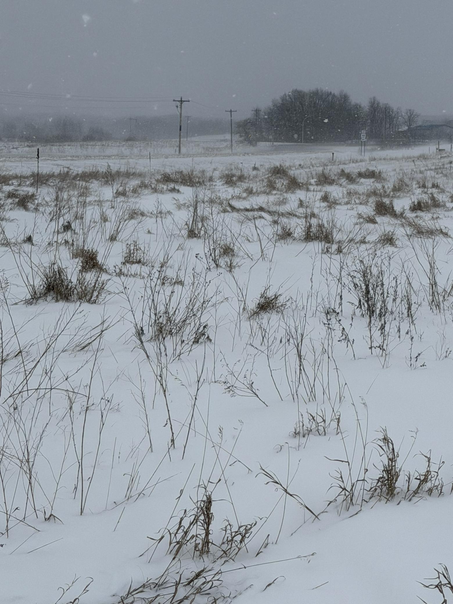 Tbd Tbd 395th Dent, MN 56528 - Photo 4 of 7