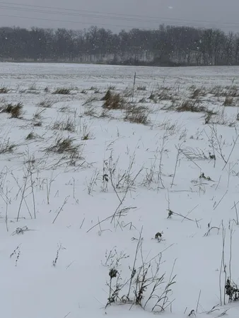 $159,000 | Tbd Tbd 395th, Dent, MN 56528