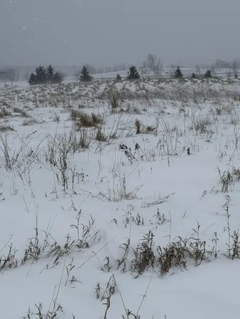 $159,000 | Tbd Tbd 395th, Dent, MN 56528