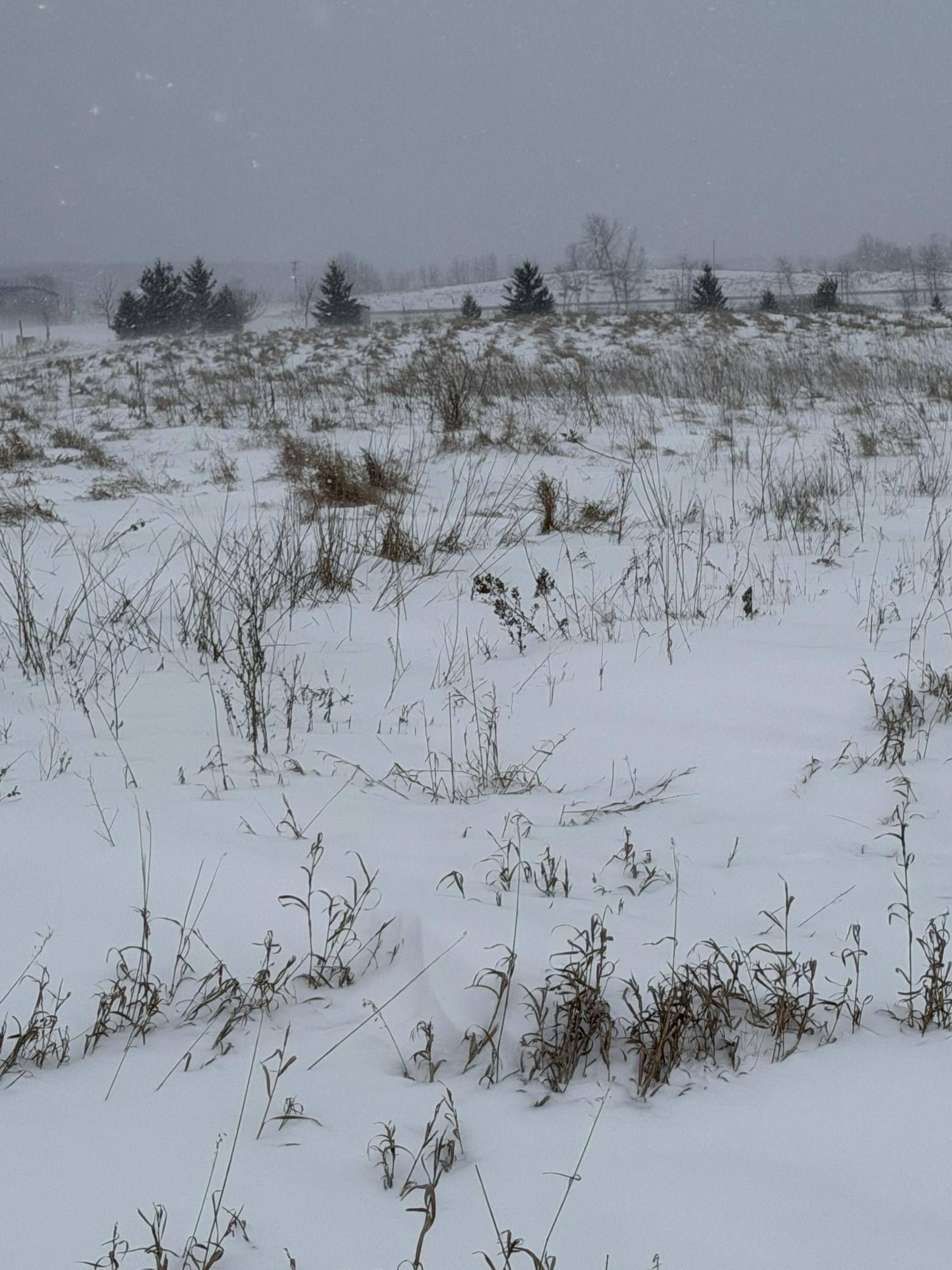 Tbd Tbd 395th Dent, MN 56528 - Photo 6 of 7