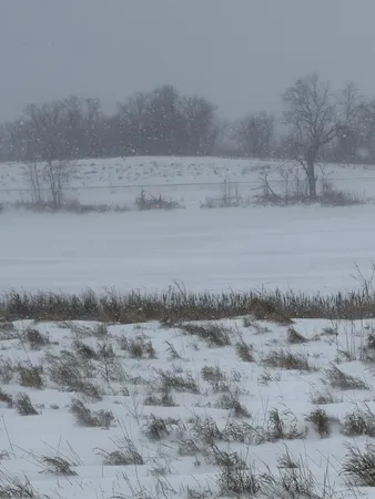 $159,000 | Tbd Tbd 395th, Dent, MN 56528