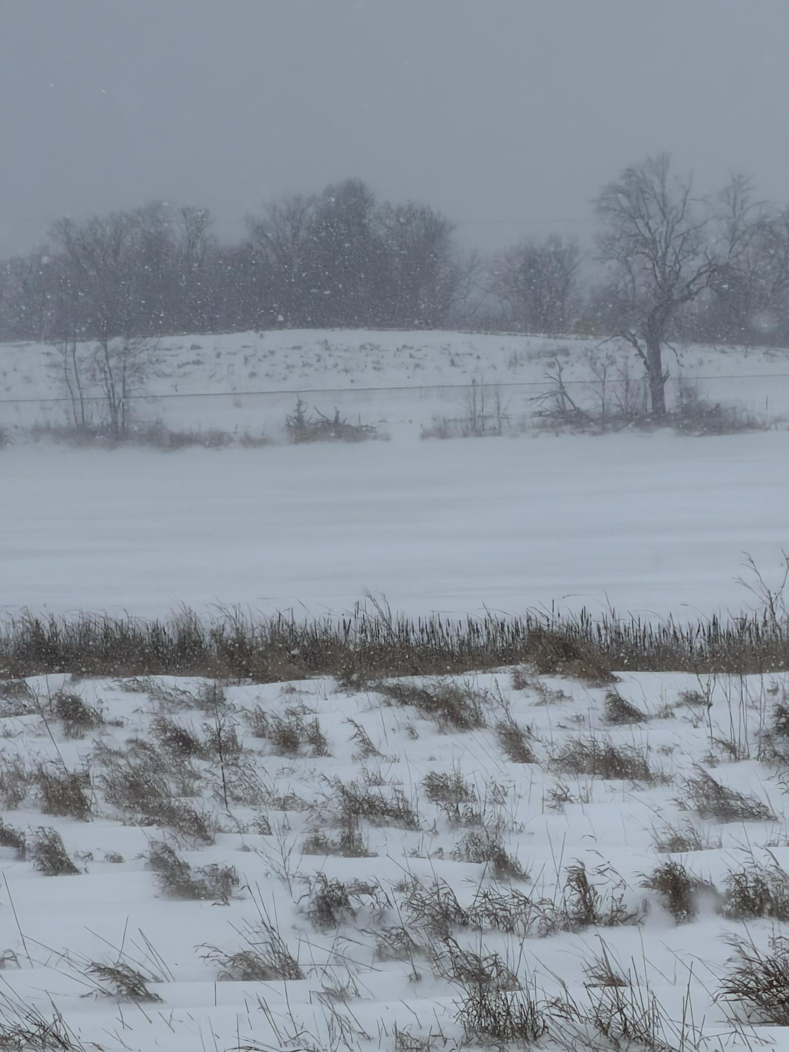 Tbd Tbd 395th Dent, MN 56528 - Photo 7 of 7