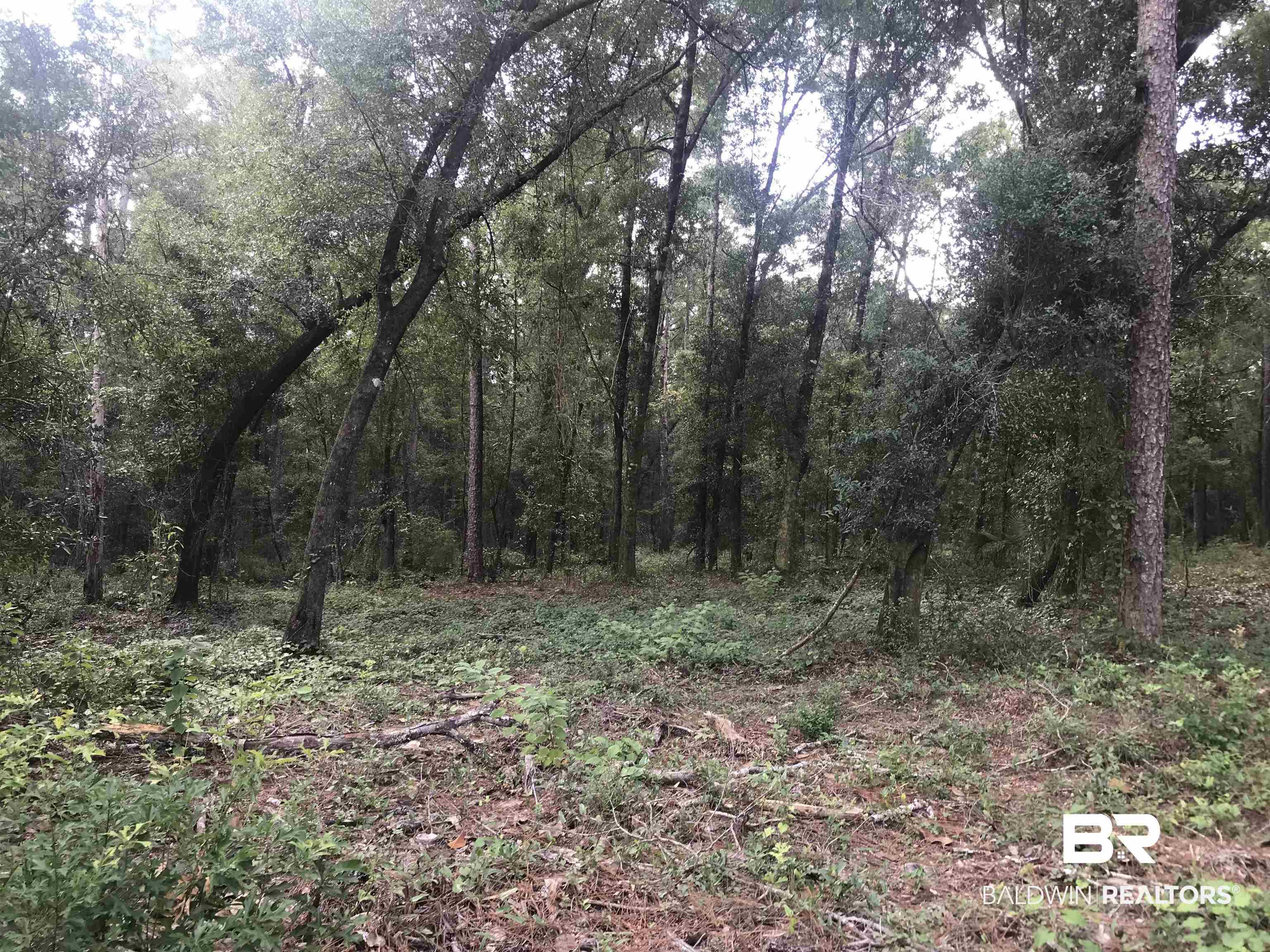 14268 State Highway Silverhill, AL 36576 - Photo 11 of 17 View of landscape