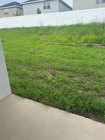 a view of a yard with large trees