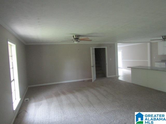2921 Florida Road Pell City, AL 35125 - Photo 4 of 23