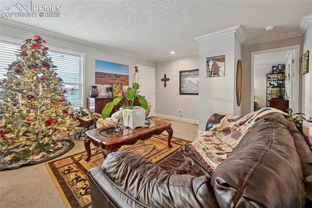 $540,000 | 2281 North Ellicott Highway, Calhan, CO 80808