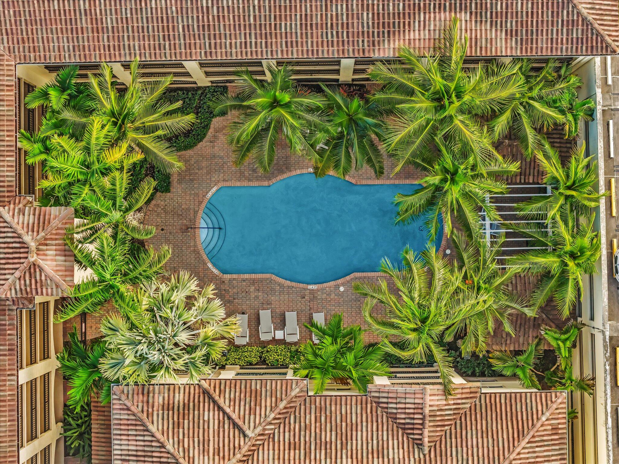 4303 Renaissance Way, Unit 303 Boynton Beach, FL 33426 - Photo 74 of 74 Community Pool