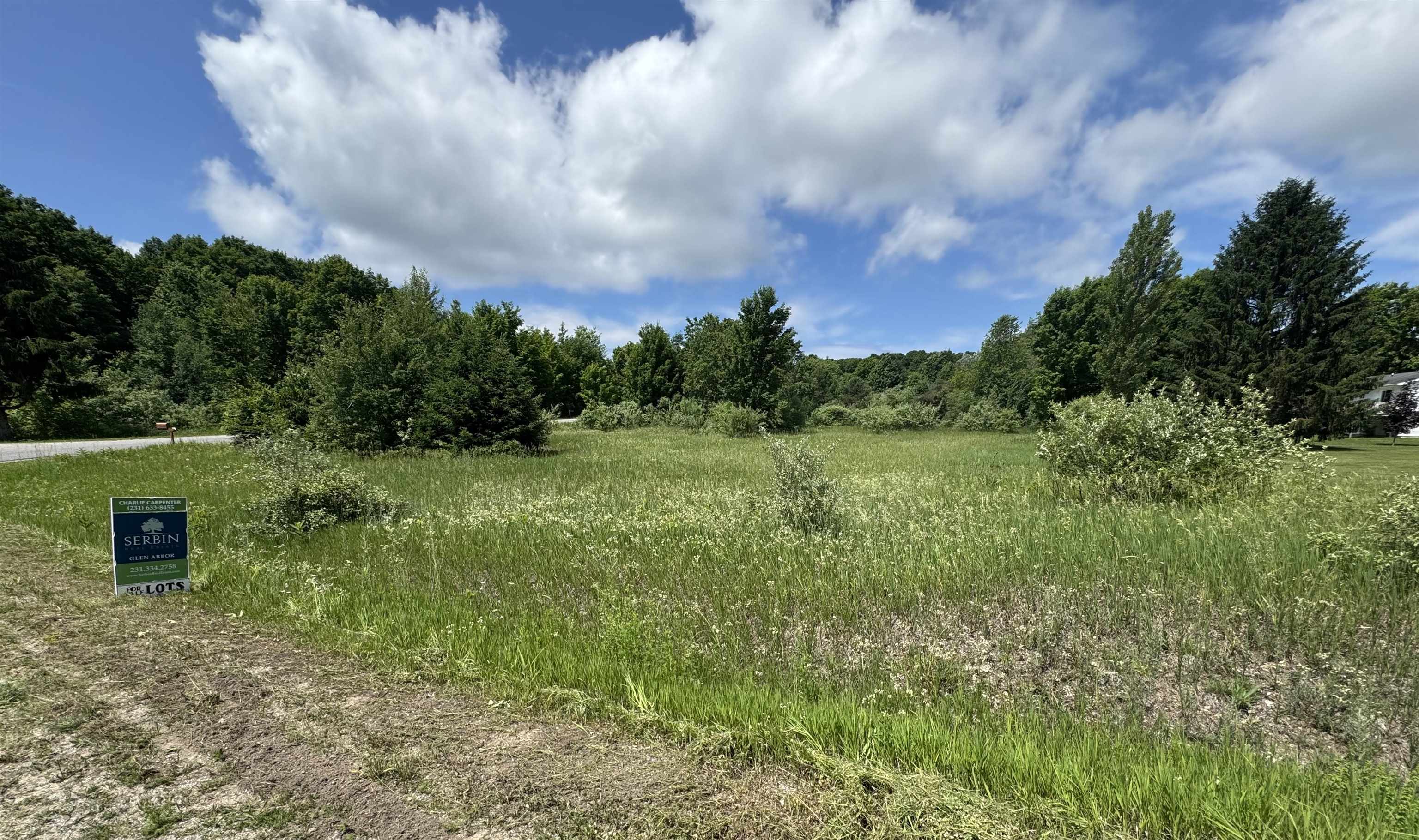 32 South Ski View Circle Cedar, MI 49621 - Photo 3 of 8