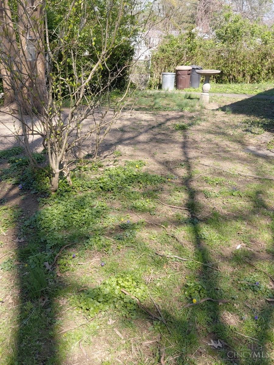 4555 Elizabeth Street Cincinnati, OH 45242 - Photo 4 of 12