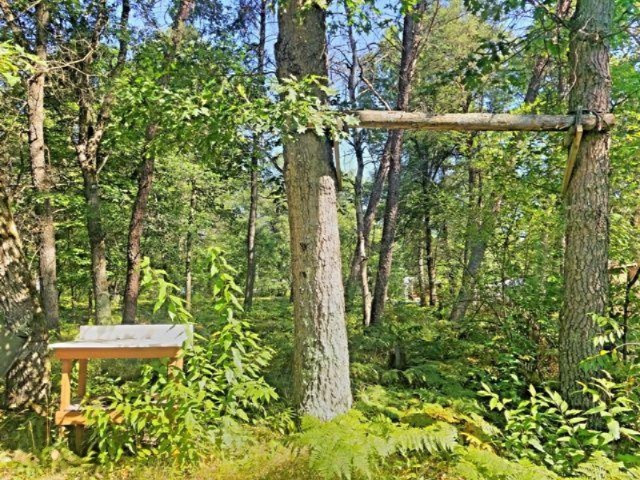 5093 North May Road Luther, MI 49656 - Photo 27 of 29 HDR_20200820_105106
