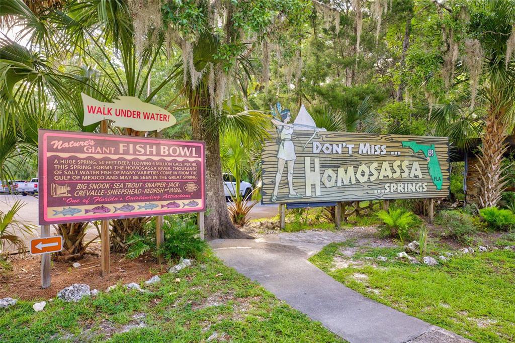 4586 Flambeau Loop Homosassa, FL 34448 - Photo 75 of 80