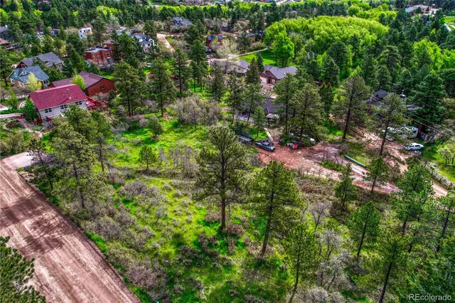 a view of a tree with plants