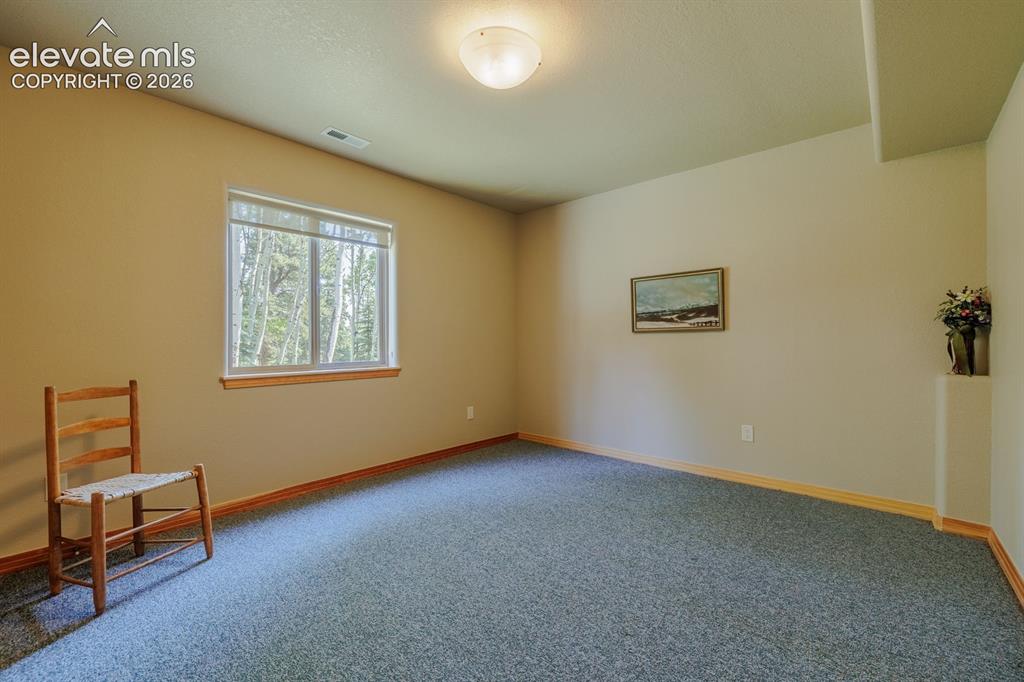 392 Aspen Village Road Divide, CO 80814 - Photo 33 of 43