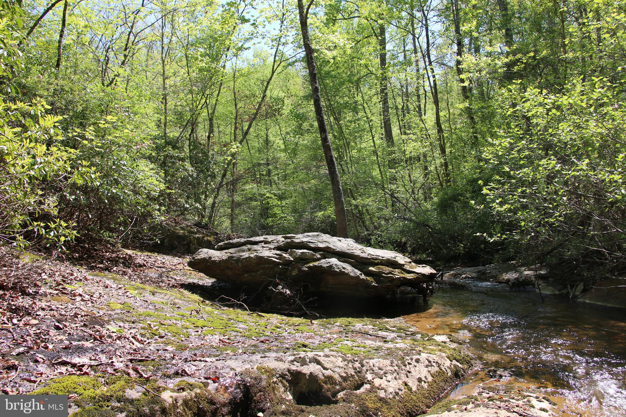 Turkey Ridge Road Castleton, VA 22716 - Photo 22 of 28