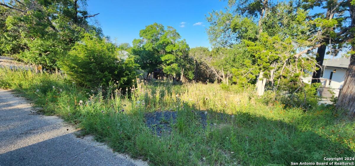 1697 Winding Creek Trail Spring Branch, TX 78070 - Photo 2 of 4 a view of a garden