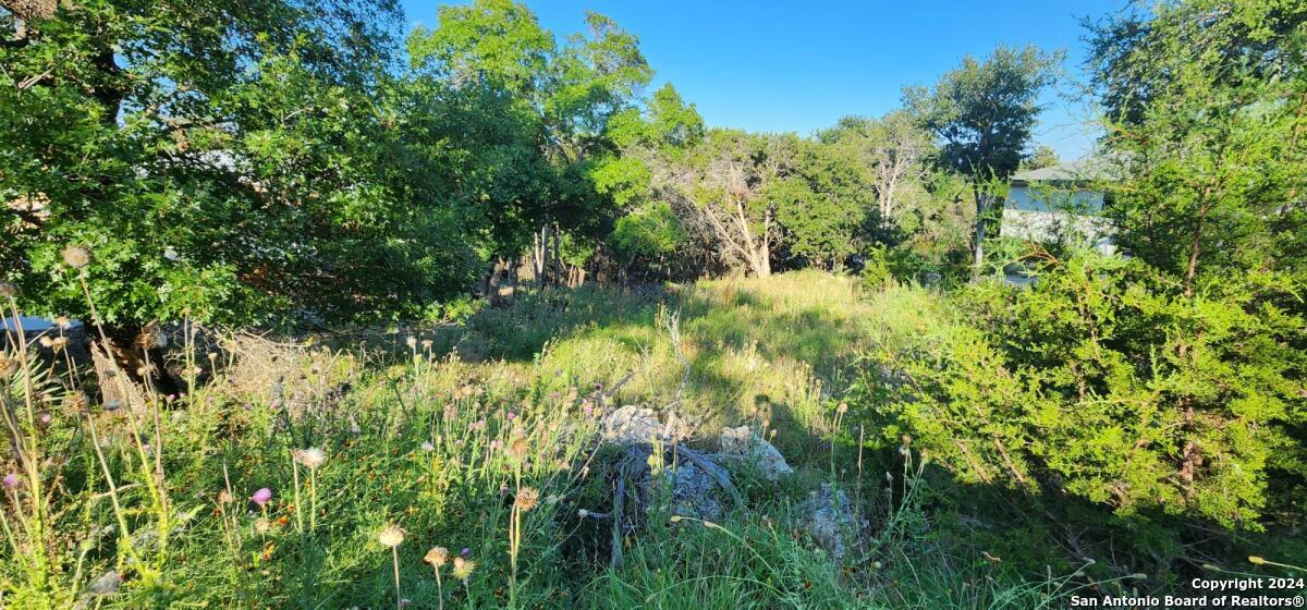1697 Winding Creek Trail Spring Branch, TX 78070 - Photo 3 of 4 a view of a lush green forest