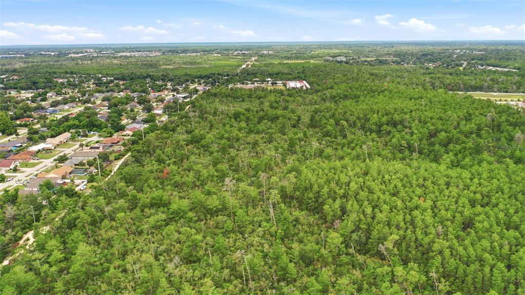 Wolverine (paper) Avenue Deltona, FL 32725 - Photo 11 of 24