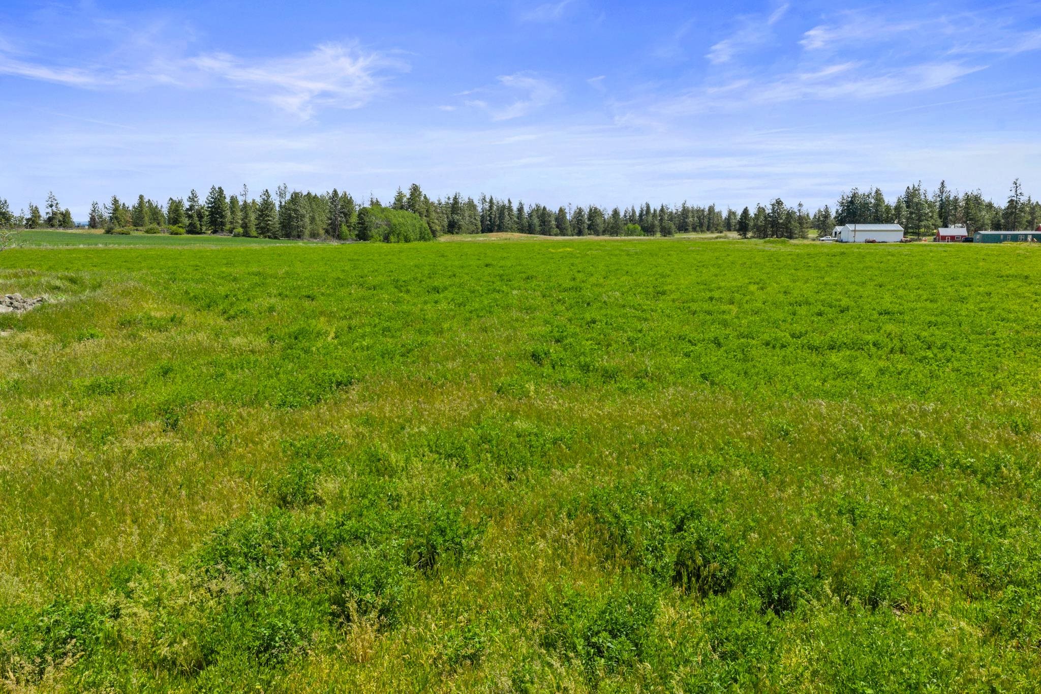 132-xx North Wood Road Reardan, WA 99029 - Photo 5 of 5