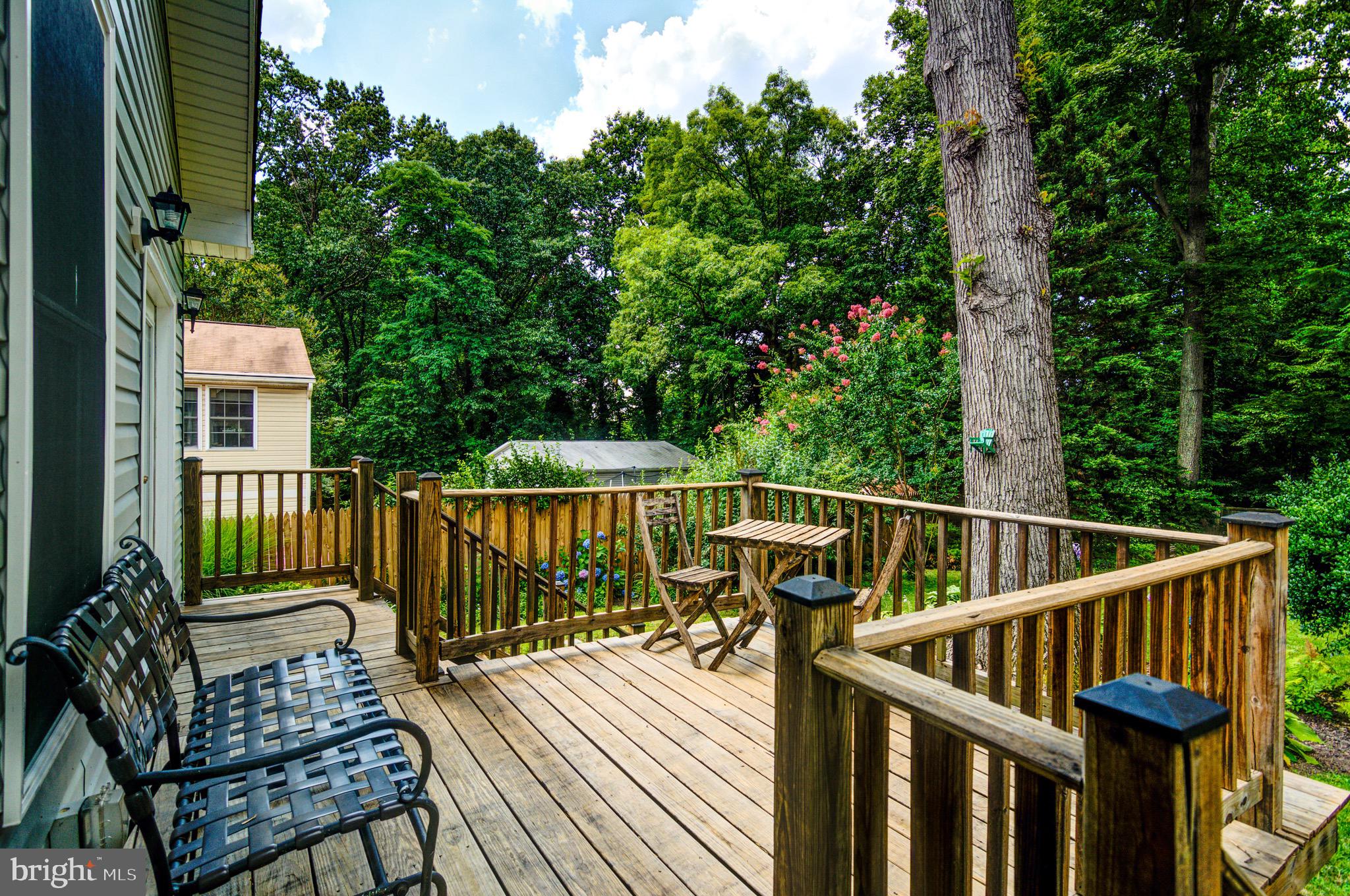 2905 Jennings Road Kensington, MD 20895 - Photo 11 of 52 Back deck