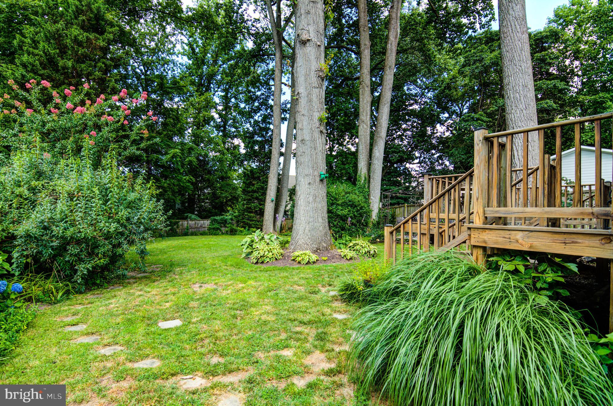 2905 Jennings Road Kensington, MD 20895 - Photo 6 of 52 Back yard, left of deck