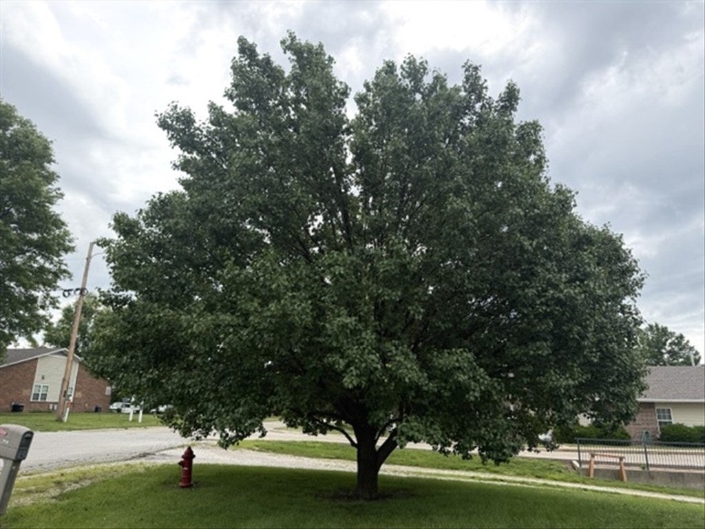 706 Ranchland Drive Macon, MO 63552 - Photo 29 of 41 Gallery Image 29