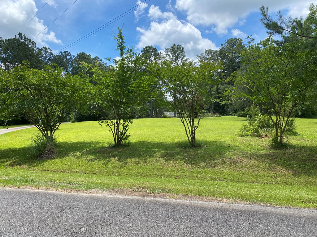 414 Airpark Road Waverly Hall, GA 31831 - Photo 9 of 38