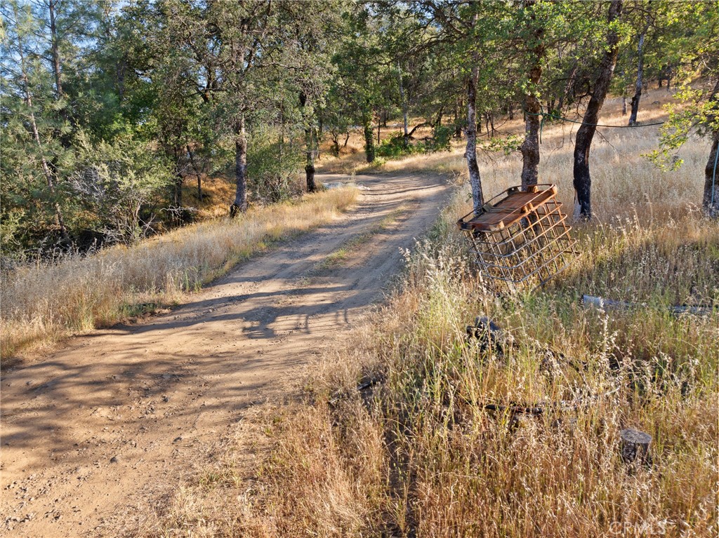 0 Cherokee Road Oroville, CA 95965 - Photo 6 of 11 a view of dirt yard with a tree