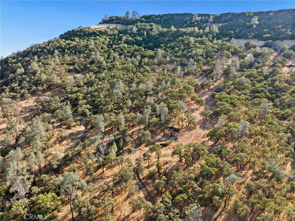 0 Cherokee Road Oroville, CA 95965 - Photo 7 of 11 a view of a big yard with lots of bushes