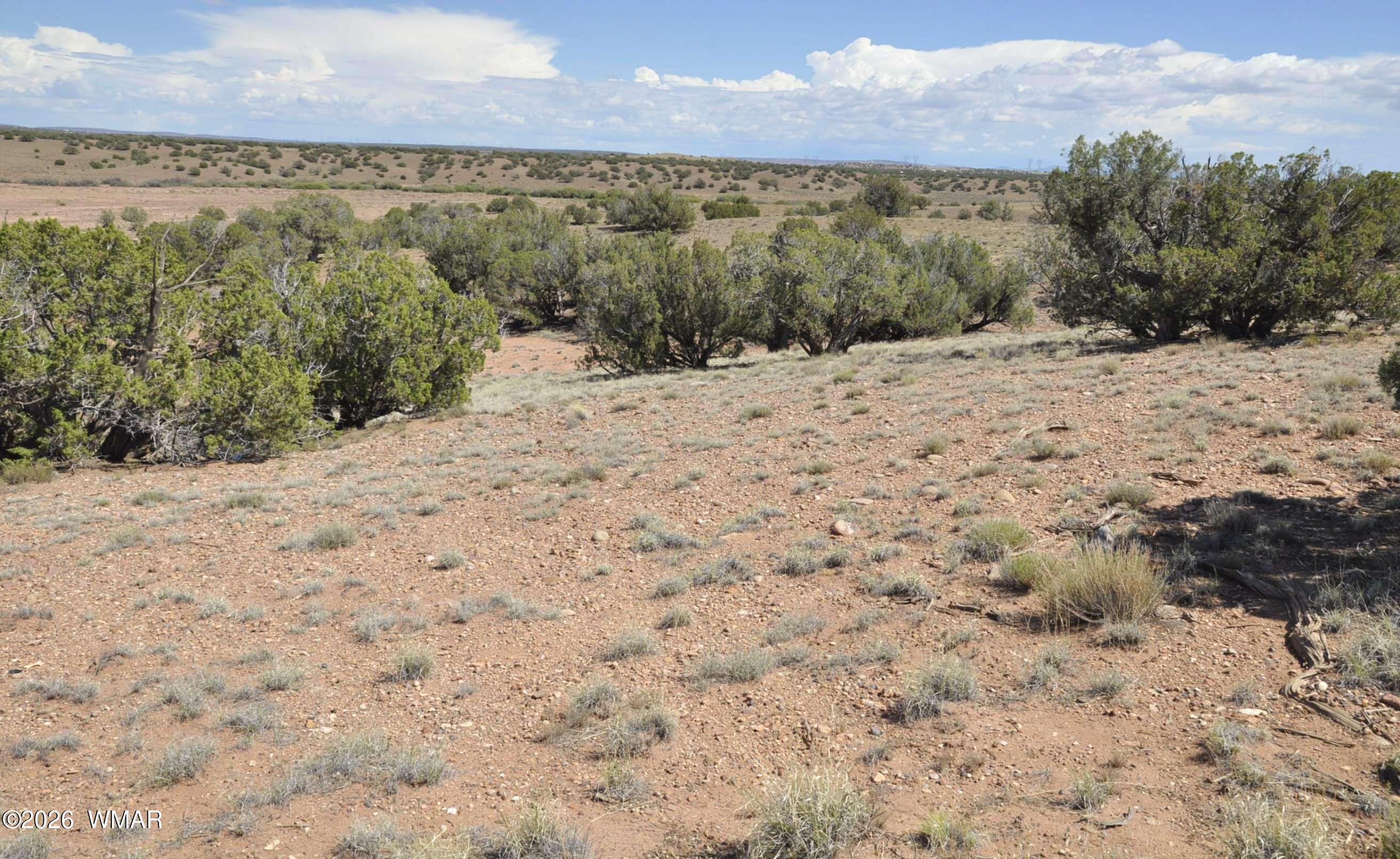 19-c & D County Road Concho, AZ 85924 - Photo 13 of 24 a view of a dry yard covered with snow in the background