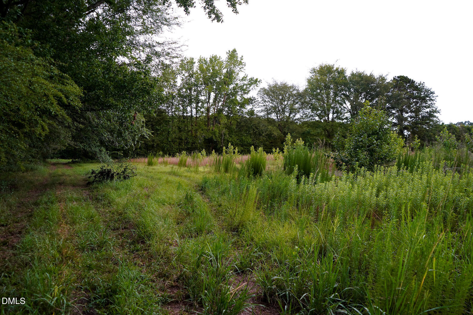 19.2-acres Bunnlevel Erwin Road Erwin, NC 28339 - Photo 29 of 34 29 Paras 19.3 Acres Bunnlevel Erwin Rd
