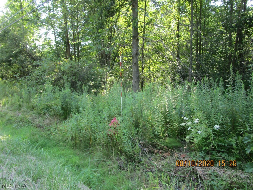 Countyline Road Geneva, OH 44041 - Photo 9 of 20
