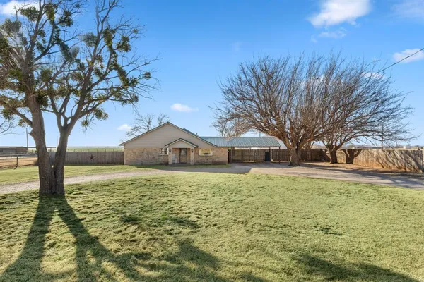 a large tree in front of a house with a yard