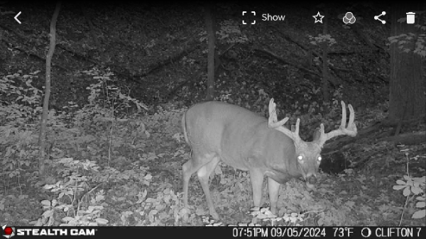 W12463 820th Avenue River Falls, WI 54022 - Photo 41 of 41