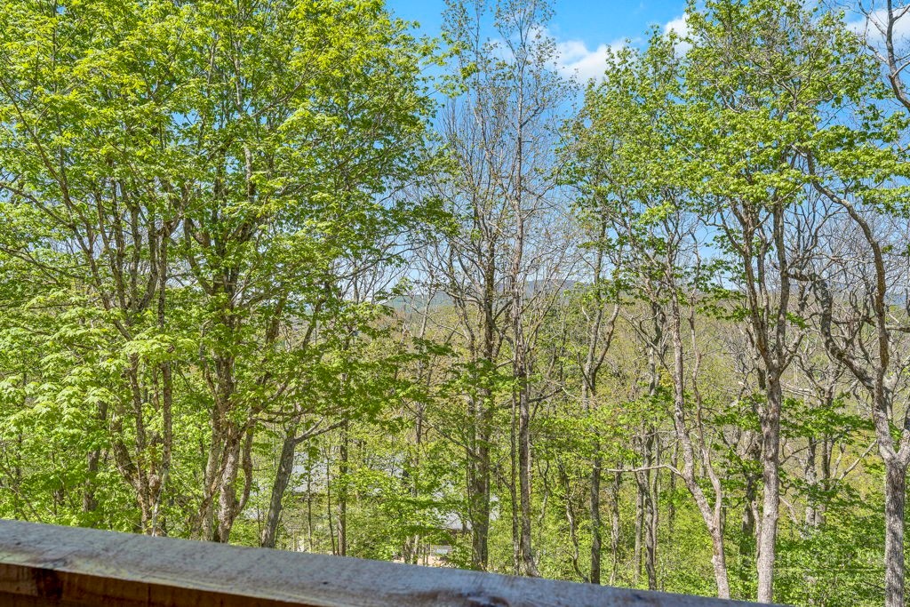 536 Boone Ridge Lane Boone, NC 28607 - Photo 13 of 50 a view of a yard from a window
