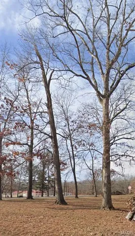 $65,000 | 1-2 Hwy Ra Wappapello Mo 63966, Wappapello, MO 63966