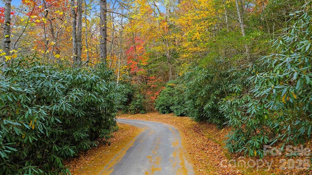 0 Indian Lake Road, Unit 21 Lake Toxaway, NC 28747 - Photo 11 of 23 a view of a yard with plants and large trees