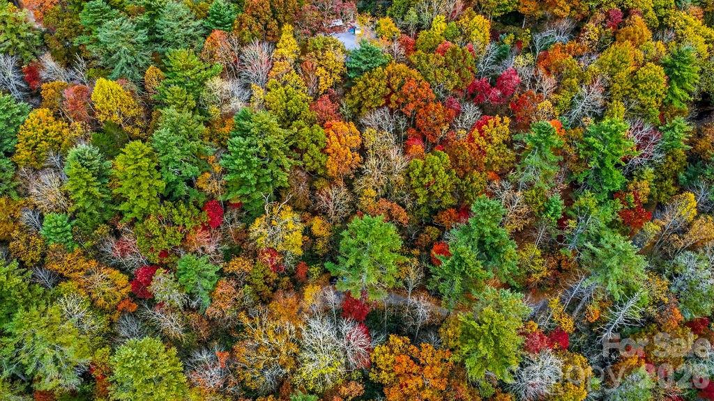 0 Indian Lake Road, Unit 21 Lake Toxaway, NC 28747 - Photo 17 of 23 a view of a flower