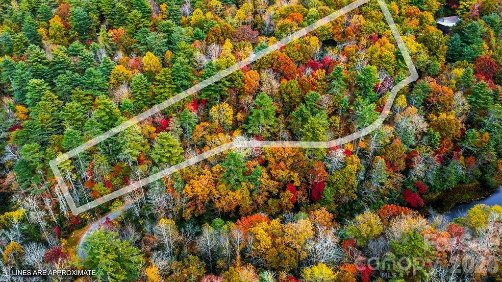 0 Indian Lake Road, Unit 21 Lake Toxaway, NC 28747 - Photo 18 of 23 a picture of flowers