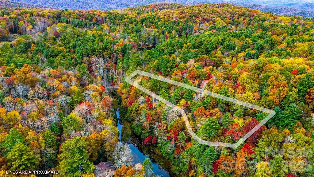 0 Indian Lake Road, Unit 21 Lake Toxaway, NC 28747 - Photo 19 of 23 a view of an outdoor space