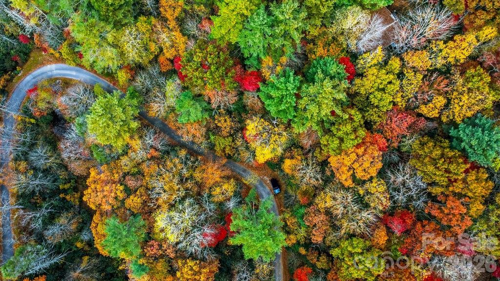 0 Indian Lake Road, Unit 21 Lake Toxaway, NC 28747 - Photo 3 of 23 a close up of a tree